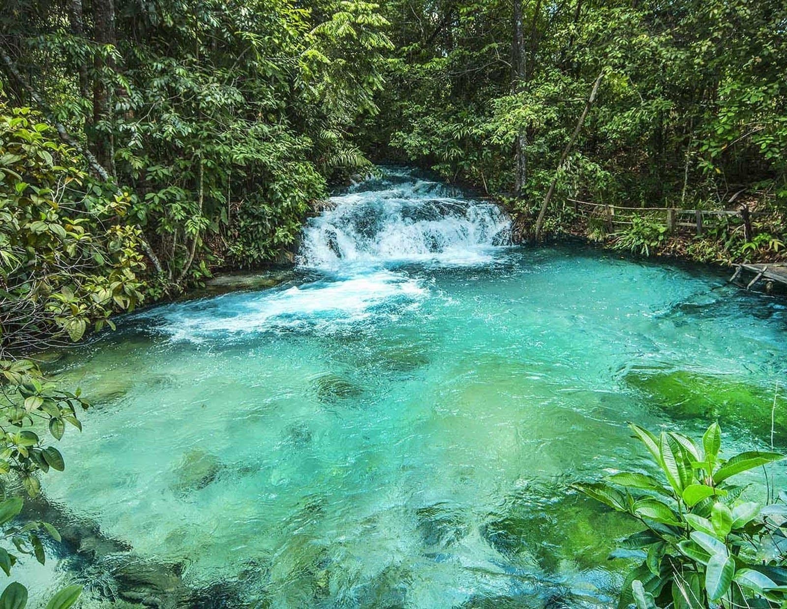 That colour is real, no filter survives this much blue. A turquoise fervedouro natural pool fed by a small waterfall cascades into crystal-clear water surrounded by dense green forest on a Jalapão adventure
