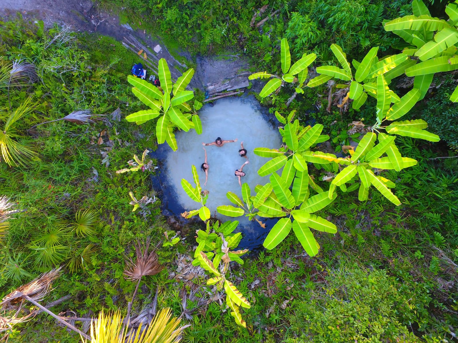 Four people, one spring, zero chance of sinking. That's the fervedouro deal. Aerial drone view of four people floating spread-eagle in a small circular fervedouro natural spring on a jalapão trip, surrounded by dense tropical vegetation with broad banana-like leaves