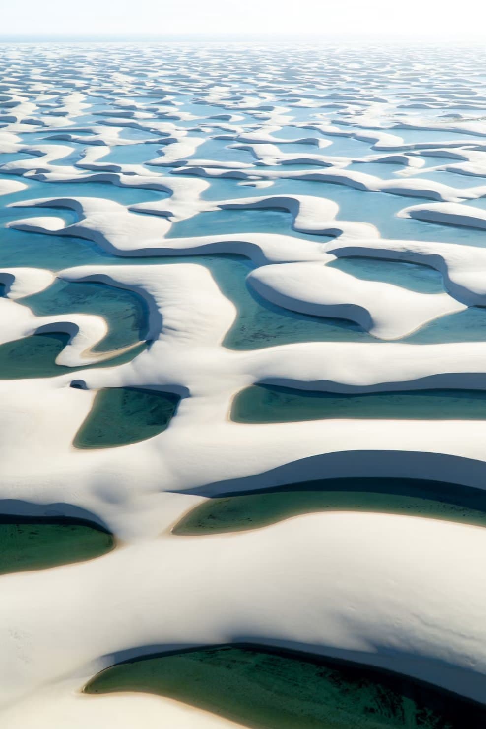 From up here, the dunes read like a map drawn by the rain itself. Photo 1