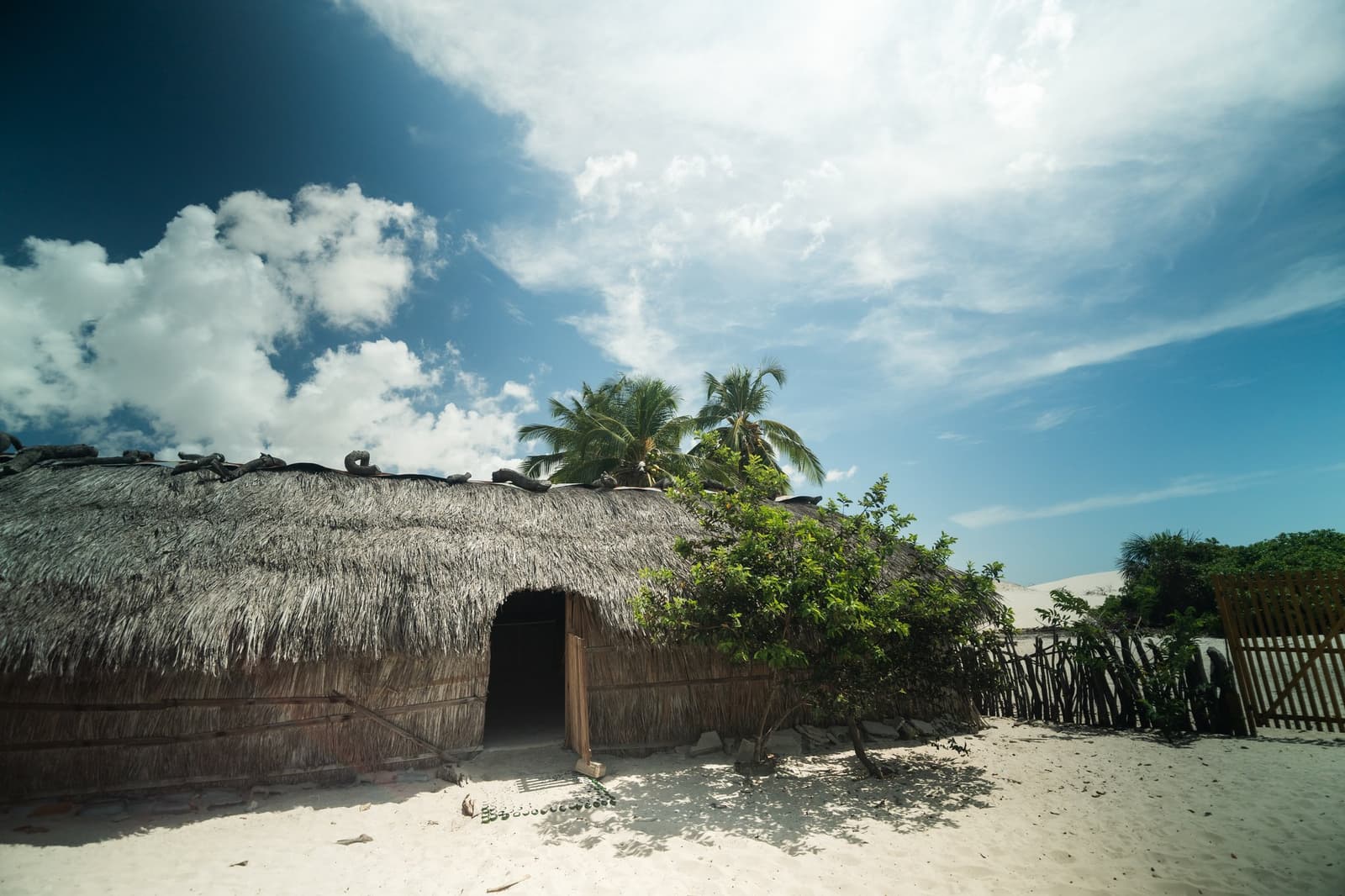 Life here has its own pace, and the sand keeps its own clock. A wide thatched-roof dwelling with a rounded palm-frond roof sits on white sand, flanked by green shrubs and coconut palms, with sand dunes visible behind a wooden fence — a lencois maranhenses trek homestay in a remote oasis community