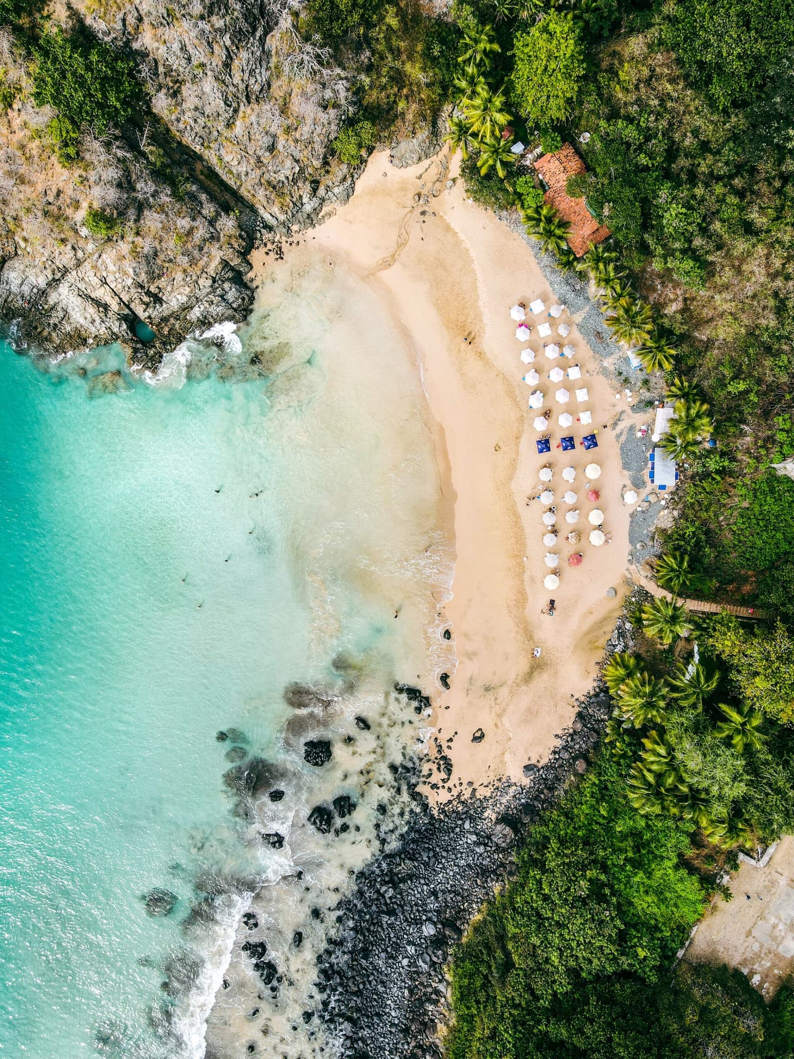 Your first beach dives happen somewhere that looks exactly like this. Aerial view of a small sandy cove in Fernando de Noronha, tucked between rocky cliffs and lush green vegetation, with rows of white beach umbrellas and turquoise water — the kind of sheltered bay where an Open Water diving course begins with calm beach training dives