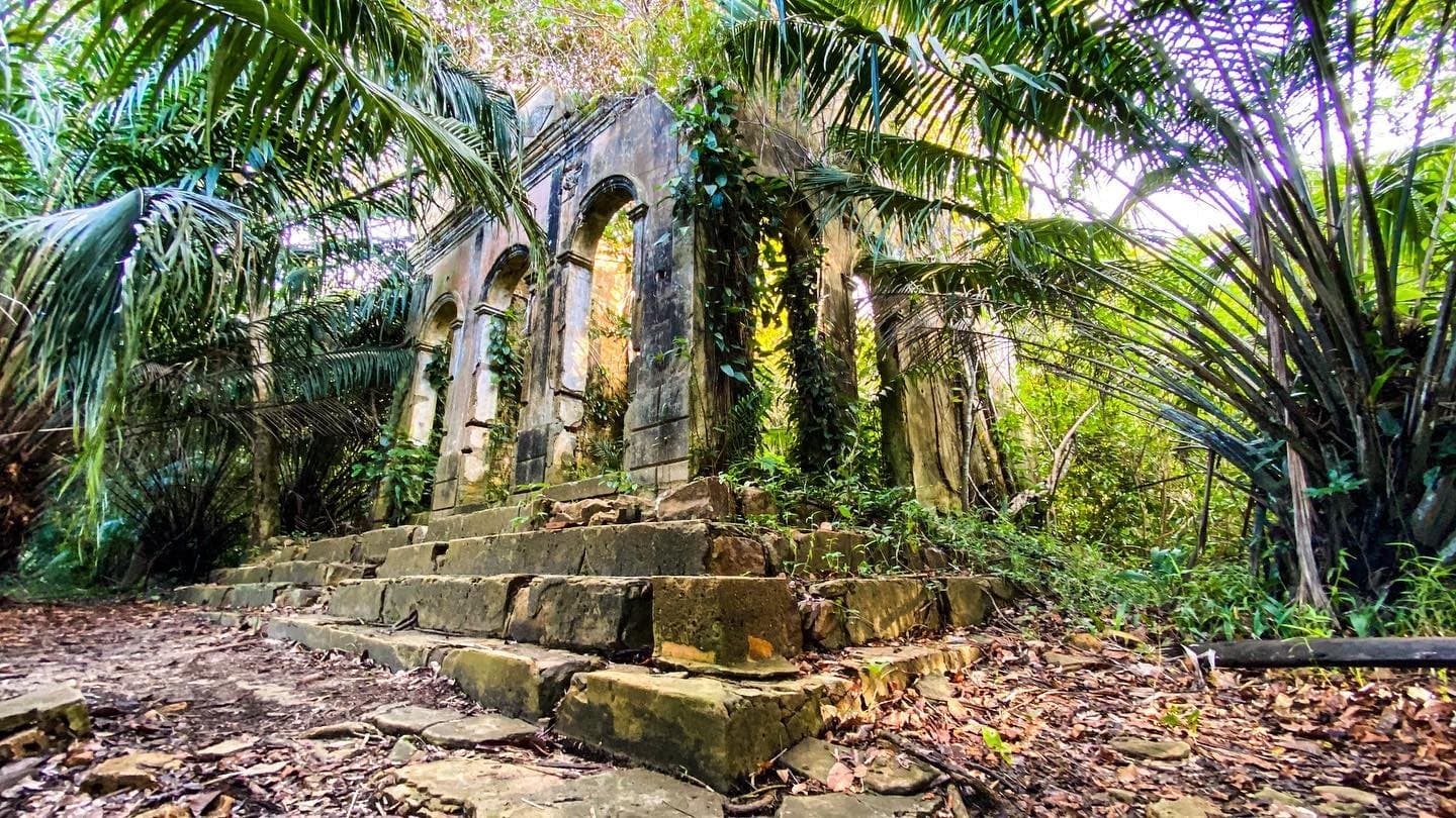 The forest doesn't wait long before making a building its own. Crumbling stone arched facade of an abandoned colonial building reclaimed by tropical palms and vines during an Amazon Cruise Trip in Brazil at Airão Velho