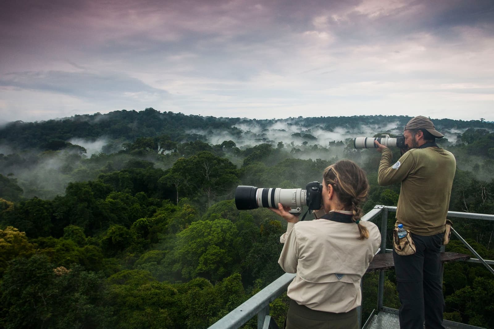 Big glass, bigger forest. The canopy never looks the same twice from up here. Photo: JOAO MARCOS ROSA/NITRO Two photographers with long telephoto lenses shooting from a metal observation tower above a misty amazon rainforest canopy at dawn, ideal for birdwatching in the amazon rainforest