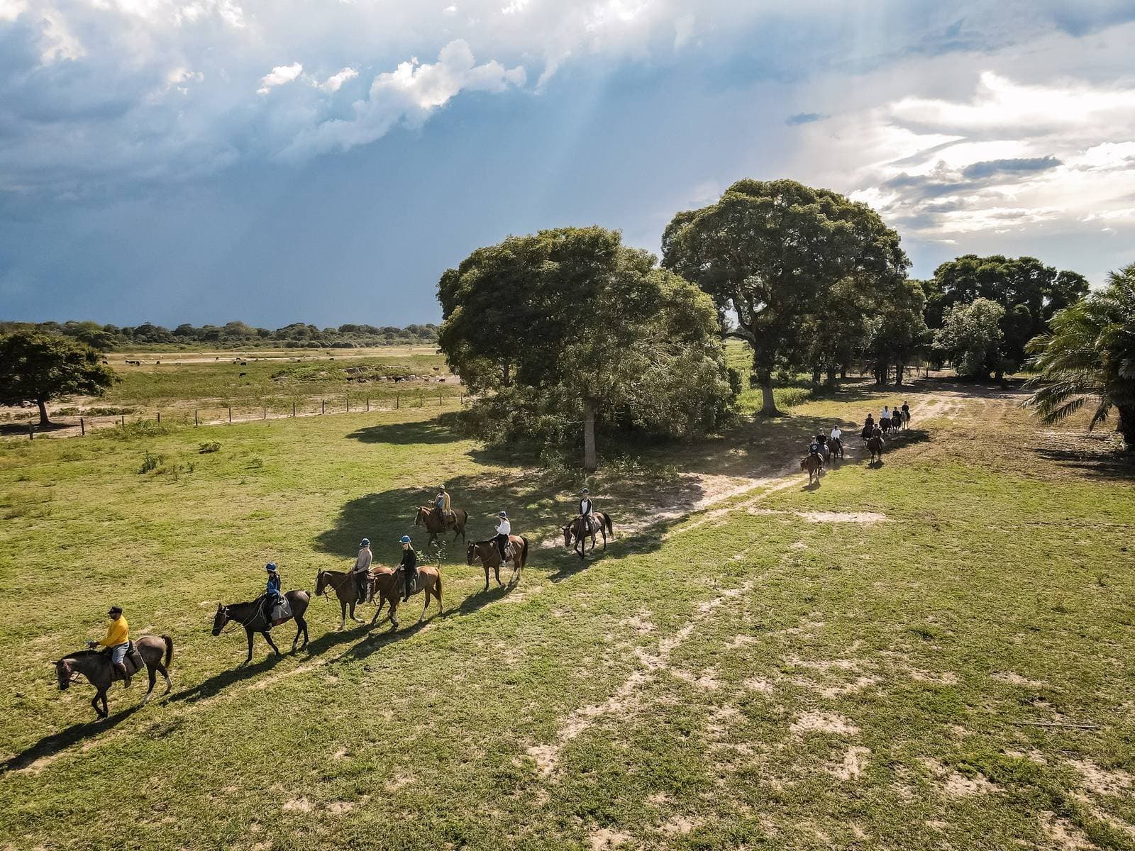 The best way to cover ground here is on four hooves, not four wheels. Aerial view of a group of riders on horseback following a dirt trail through green open fields on a budget Pantanal tour, with large trees and a dramatic cloudy sky in the background