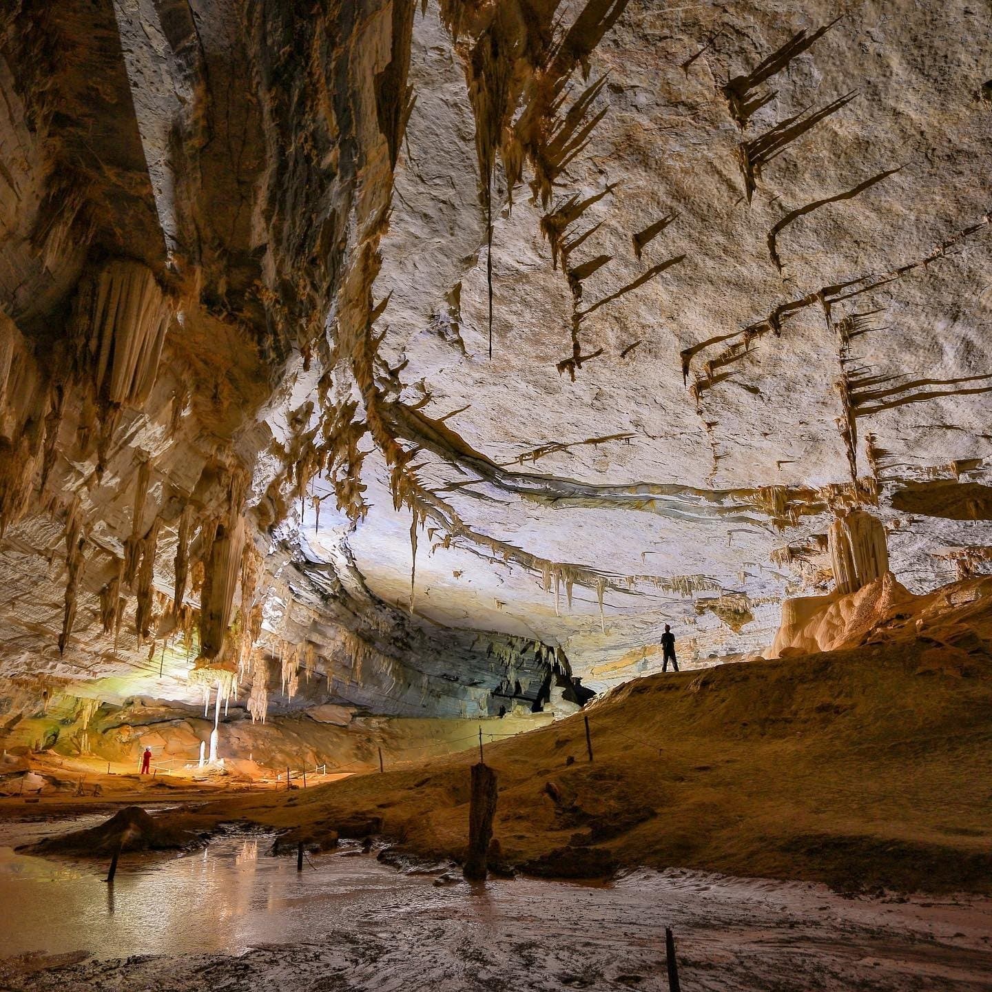 The ceiling tells a story that took a million years to write. Two visitors dwarfed by the vast limestone chamber of Lapa Doce Cave on a Chapada Diamantina Tour, with stalactites covering the vaulted ceiling and a shallow reflective pool on the cave floor