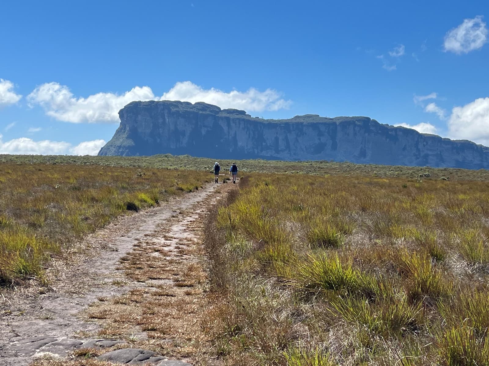 The mesa doesn't get closer quickly. That's kind of the point. Two hikers walking a rocky trail through open savanna grassland on the Chapada Diamantina trek, with a flat-topped sandstone mesa rising dramatically against a blue sky in the background