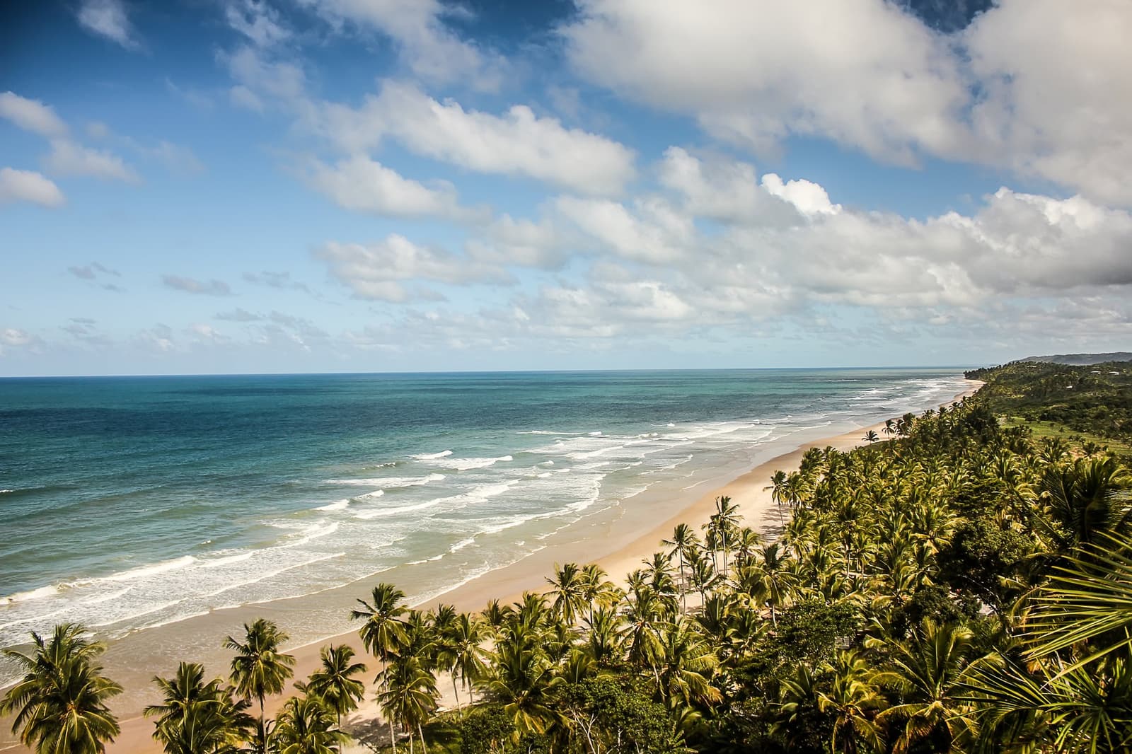 Forty kilometres of coast and not a crowd in sight. Pack light. Photo: MaFelipe Aerial view of a long sandy beach backed by dense coconut palm groves and Atlantic Forest, with turquoise waves rolling in under a partly cloudy sky on the cycling Bahia Cocoa Route
