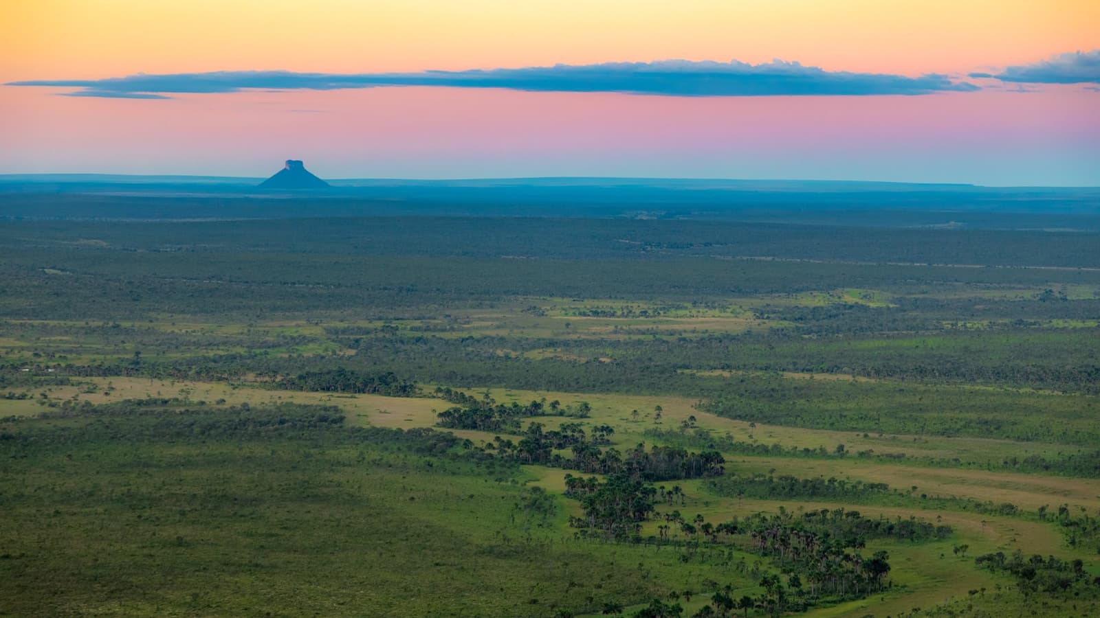 From up here, the Cerrado just keeps going, all the way to that lone butte on the horizon. Photo: Alberto Andrich Aerial panoramic view of the Cerrado savanna at dusk during a Jalapão adventure, with a flat-topped butte silhouetted on the horizon under a pink and orange sky, and scattered palm trees across the vast green lowlands