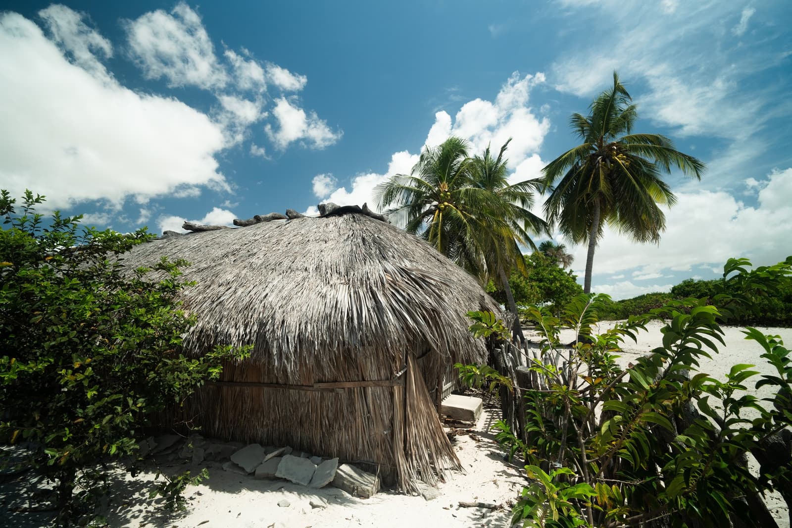 Someone built this well before the tourists arrived, and it shows. A round thatched-roof hut made of palm fronds and wooden poles, nestled among green shrubs on white sand beside tall coconut palms under a blue sky, typical of the remote communities visited on the Lençóis Maranhenses hike