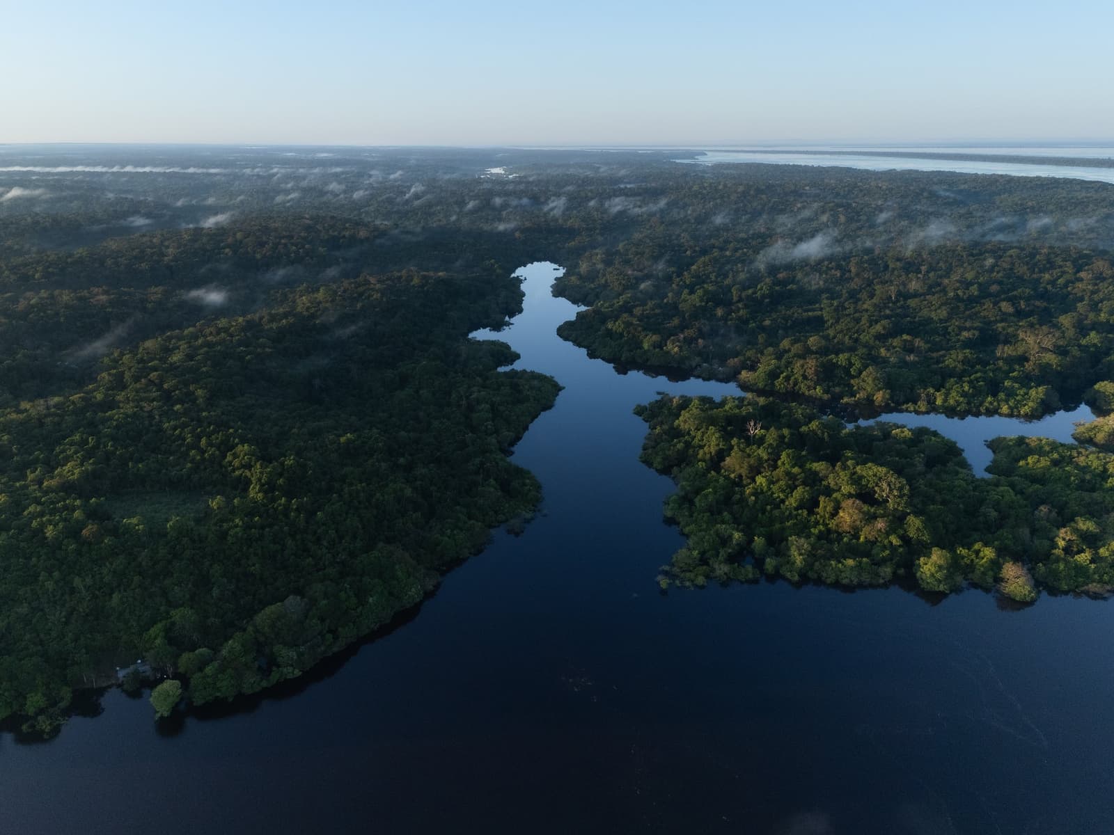 The forest keeps its own hours, and dawn is the best one. Aerial view of dark, mirror-still river channels weaving through dense Amazon rainforest at dawn, with low mist drifting above the canopy near Mirante do Gavião