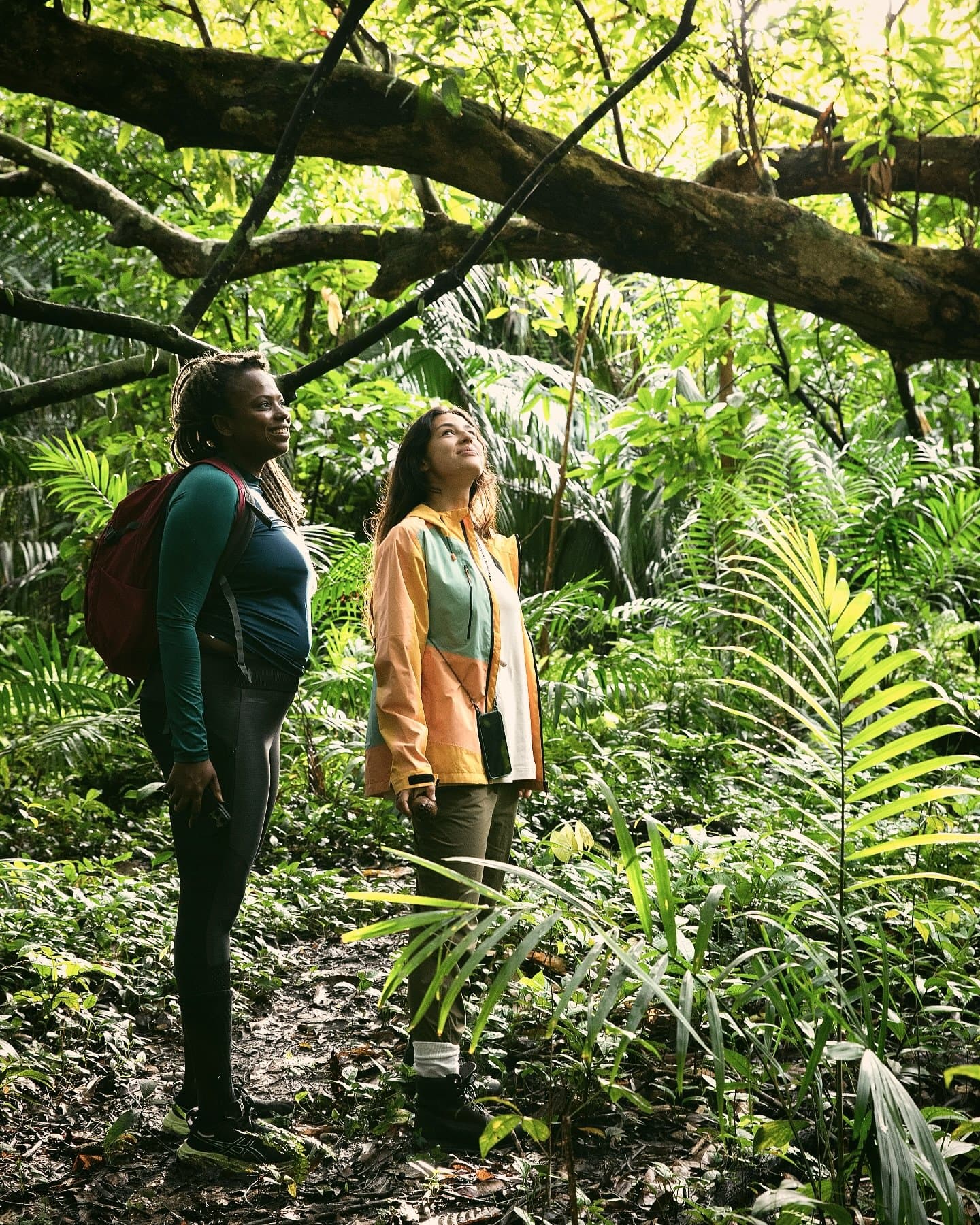 The canopy always has something to say. You just have to stop and listen. Two women pause on a jungle trail at Mirante do Gavião, gazing up through a canopy of ferns and tropical palms into the sunlit rainforest above