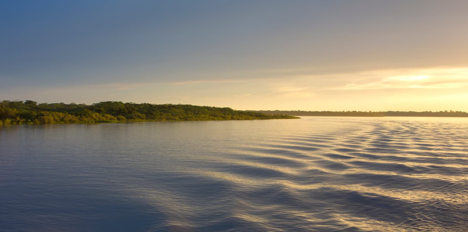 That last evening light on the water makes every slow kilometre worth it. Photo: piccaya Wide dark-water river reflecting warm golden sunset light on an amazon river cruise in Brazil, with a low strip of dense rainforest canopy along the left bank and a pale blue sky fading to amber on the horizon