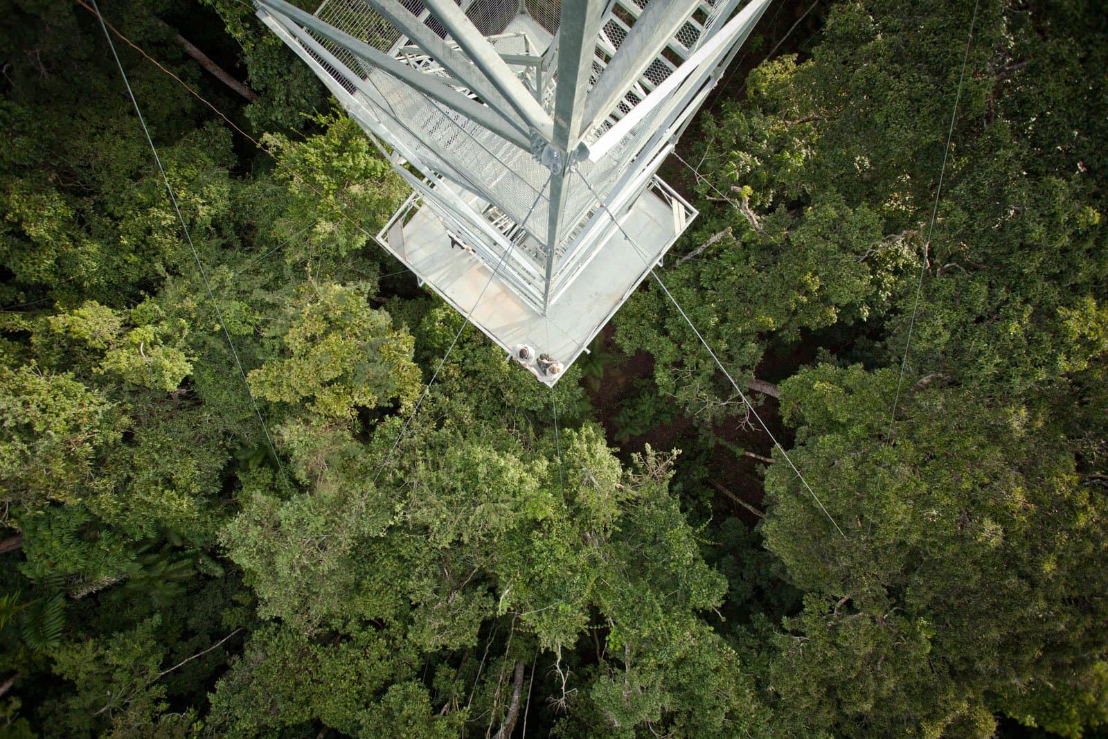 Fifty metres up, the canopy stretches out like it has no intention of stopping. Photo: Samuel Melim Aerial view looking straight down a tall steel observation tower rising above a dense Amazon rainforest canopy, with two visitors visible on a lower platform and cable stays radiating outward into the green treetops — ideal for birdwatching in the Amazon rainforest