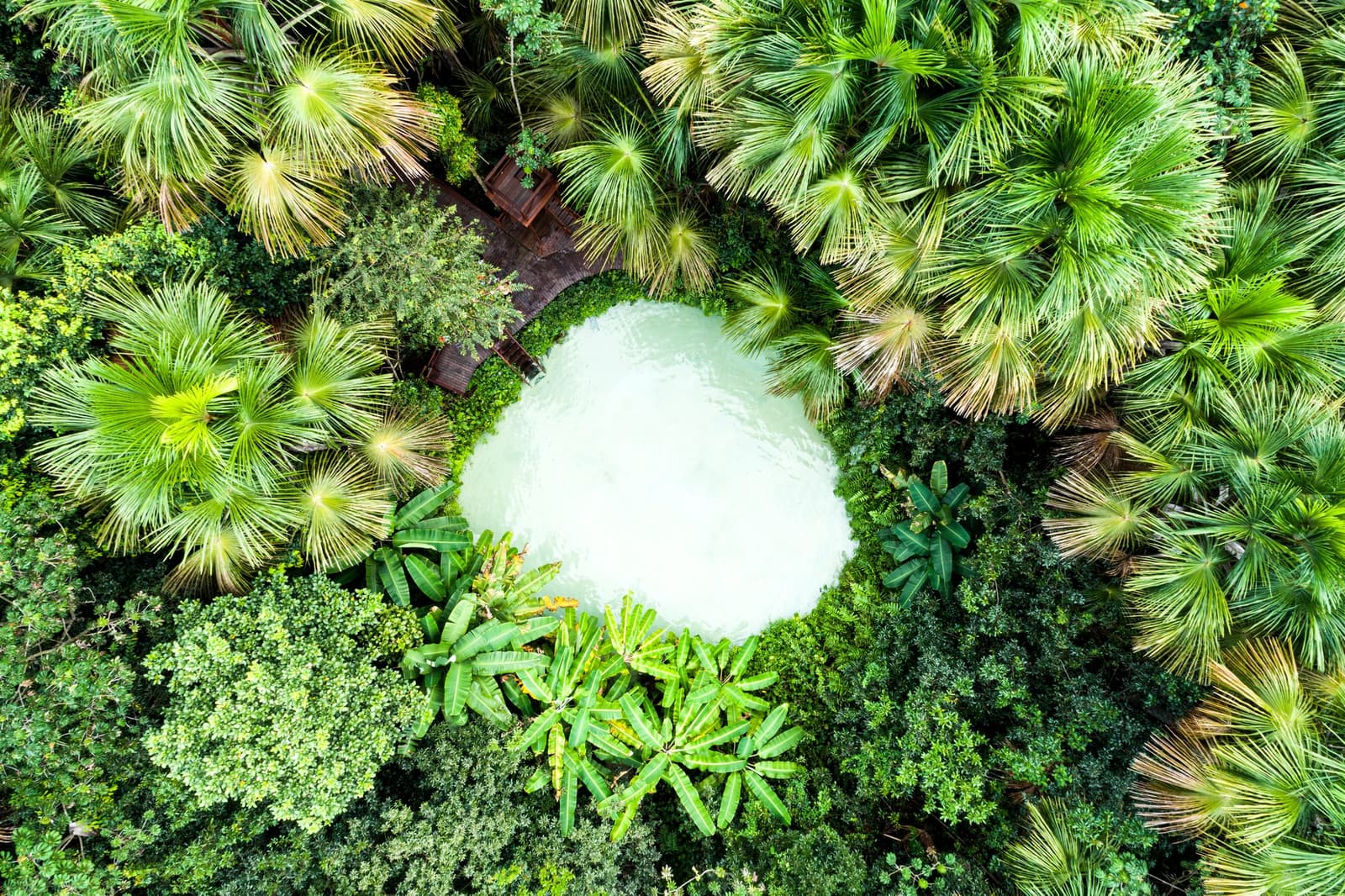 A pool dropped into the Cerrado like nature forgot to explain itself. Photo: FG Trade Aerial top-down view of a circular milky-turquoise fervedouro natural spring surrounded by dense buriti palm canopies and tropical vegetation in Jalapão