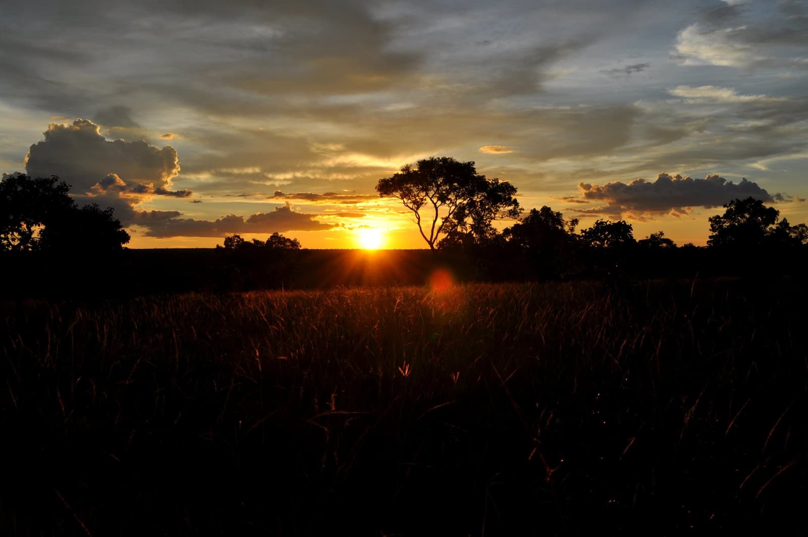 The cerrado earns its keep at the end of a long trail day. Photo: Picasa A wide cerrado grassland at sunset during a Jalapão trekking route, with the sun setting low on the horizon behind silhouetted trees and a dramatic cloudy sky glowing orange and gold