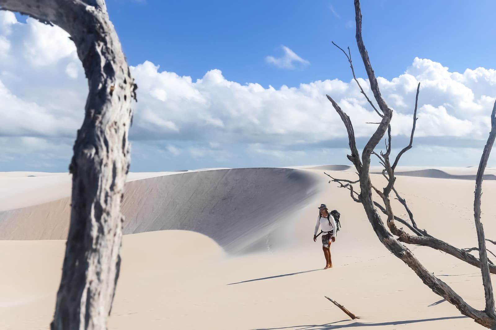 The dunes swallowed the forest, and left these sculptural ghosts behind. A backpacker walking barefoot across wide white sand dunes on a Lençóis Maranhenses hike, framed by bleached dead trees under a blue sky with scattered clouds