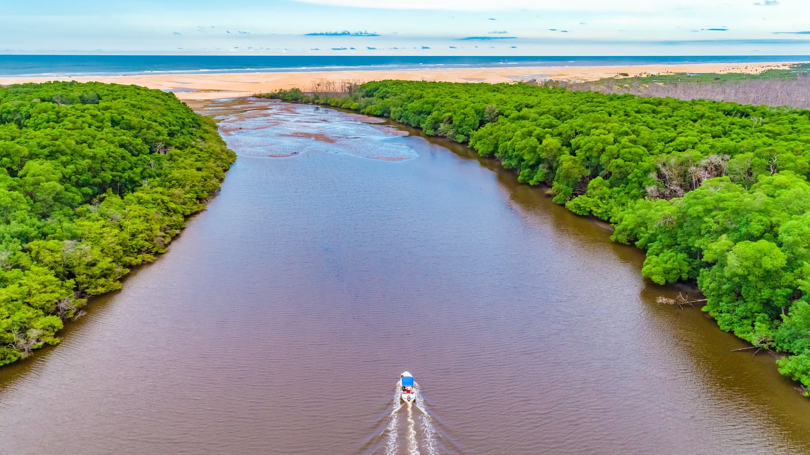 River, forest, beach, ocean, all in one frame, and the boat doesn't seem to mind the commute. Photo 3