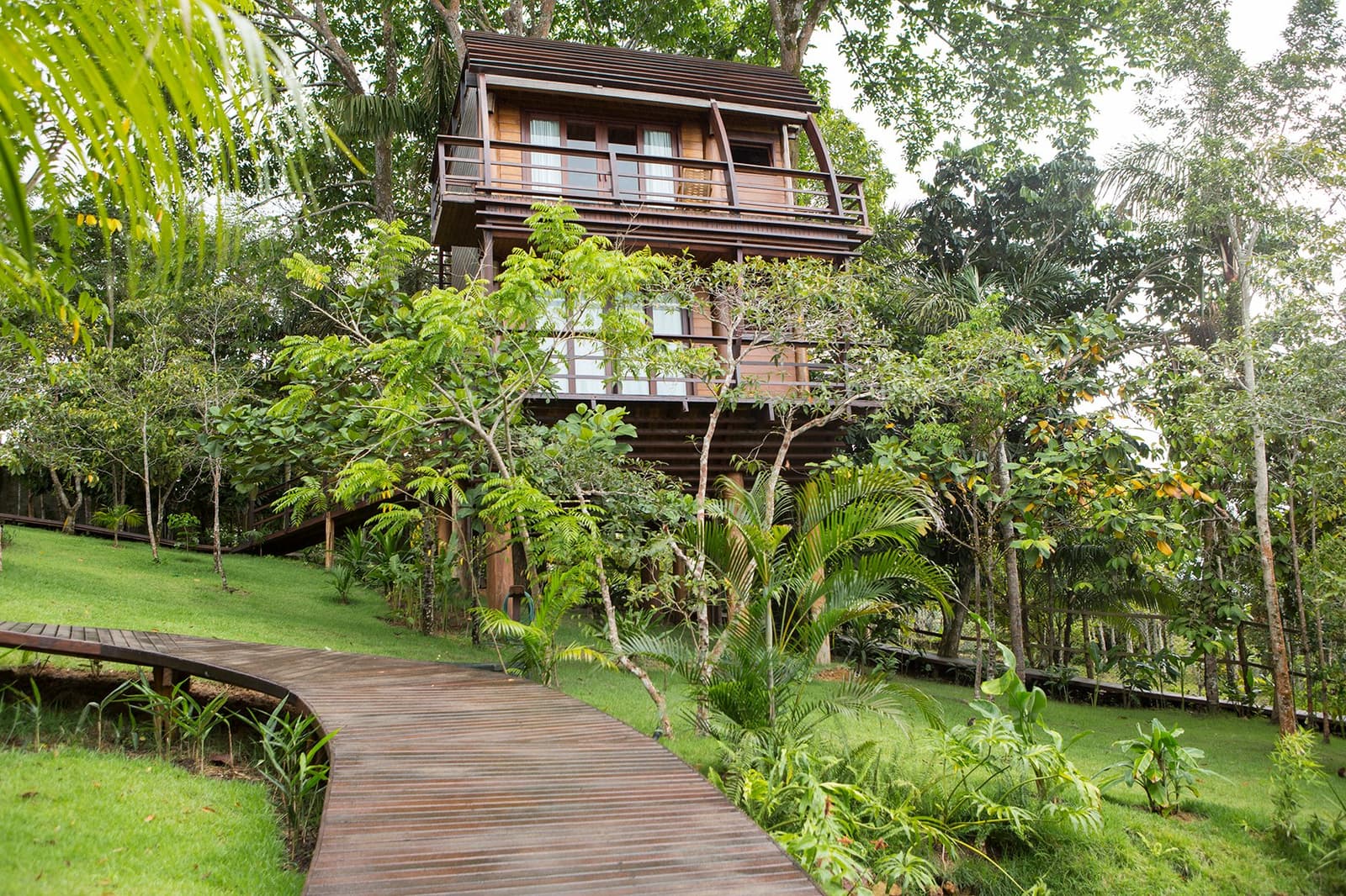 Your room in the canopy, with a boardwalk that makes the journey half the fun. A curved wooden boardwalk winds uphill through lush tropical gardens toward the multi-storey timber lodge at Mirante do Gavião amazon lodge, surrounded by towering rainforest trees