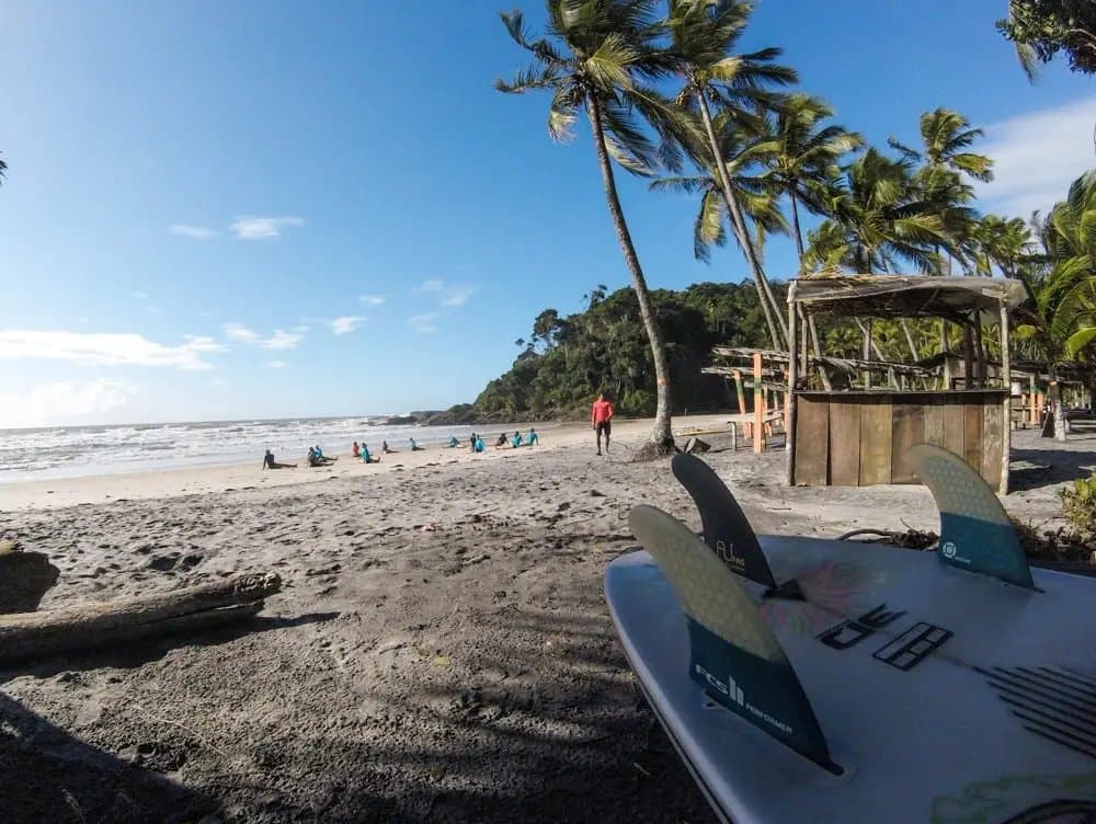 Class is already in session, and the boards are itching to get wet. A surfboard with FCS fins rests on the sand in the foreground while a group taking surf lessons in Itacaré practices on a palm-lined beach backed by Atlantic forest