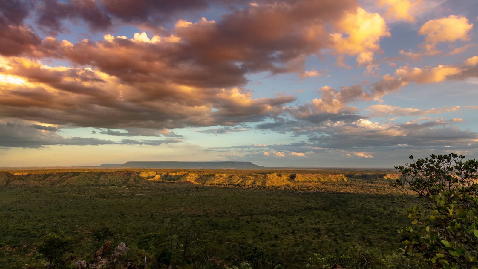 That mesa on the horizon has been there longer than the word 'bucket list' has existed. Photo: Alberto Andrich Panoramic view over a vast cerrado landscape during a jalapão trip, with a flat-topped sandstone mesa silhouetted on the horizon beneath a dramatic sky of rose and amber clouds at sunset