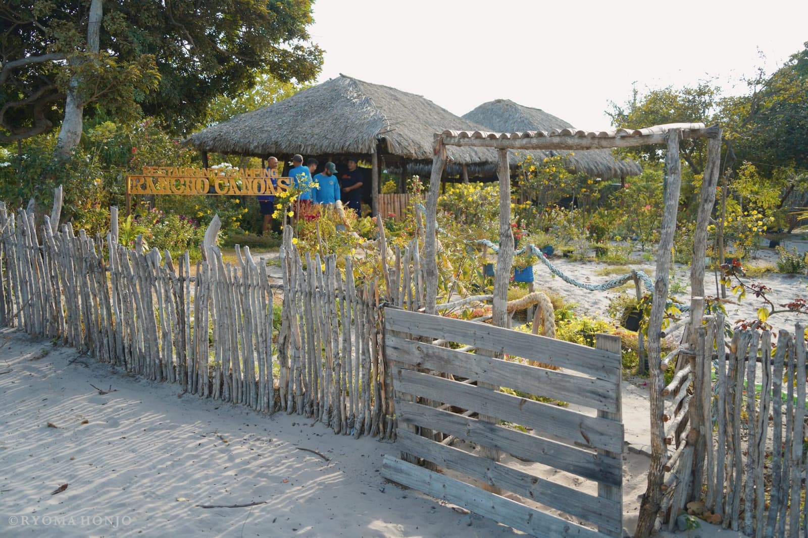 Low-key and local: the kind of place you'd never find without someone in the know. Rustic driftwood fence and gate at the entrance to Rancho Canoas restaurant and camping in Lençóis Maranhenses Santo Amaro, with thatched-roof huts, flowering shrubs, and guides in blue shirts gathering inside