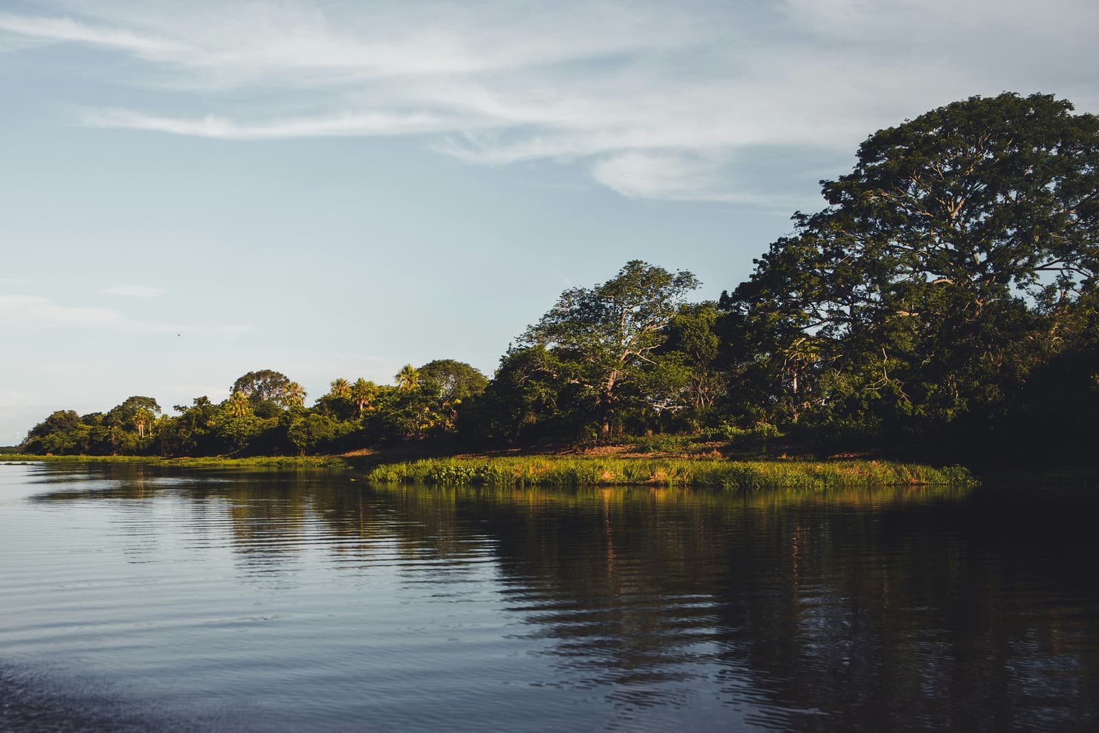 The kind of quiet that makes you stop talking and just look. Calm river channel reflecting a wooded bank with tall trees and low aquatic vegetation in warm afternoon light on a Pantanal Jaguar Photography Tour