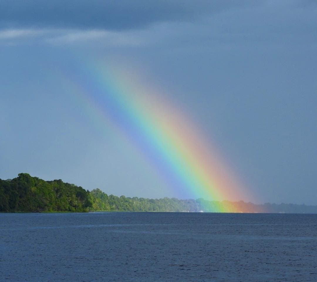 The Amazon has a way of ending its storms with a show. A vivid rainbow arches down to meet the Rio Negro waterline, with a dense wall of Amazon rainforest cruise-country greenery lining the far bank under a stormy grey sky