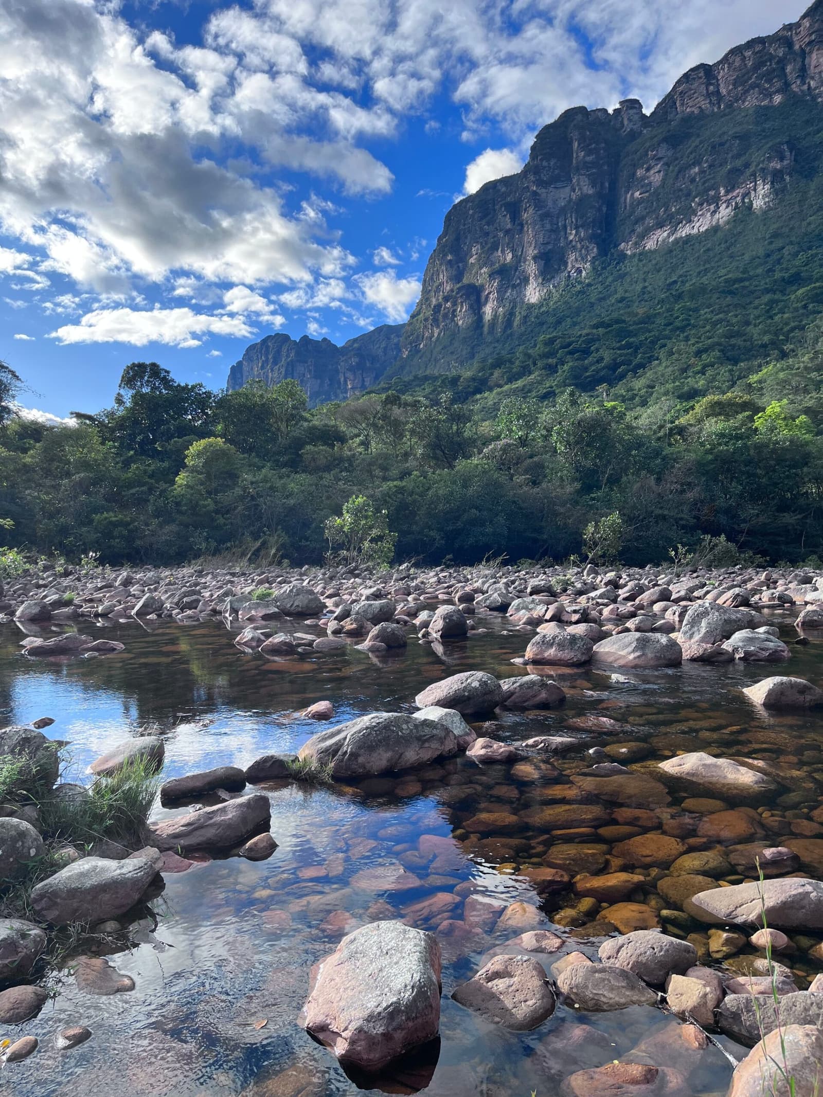 Cold, clear, and completely yours, the Pati River mid-week. Clear shallow stream lined with rounded boulders on a Chapada Diamantina trek, with dense green forest and towering sandstone cliffs rising under a blue sky with white clouds