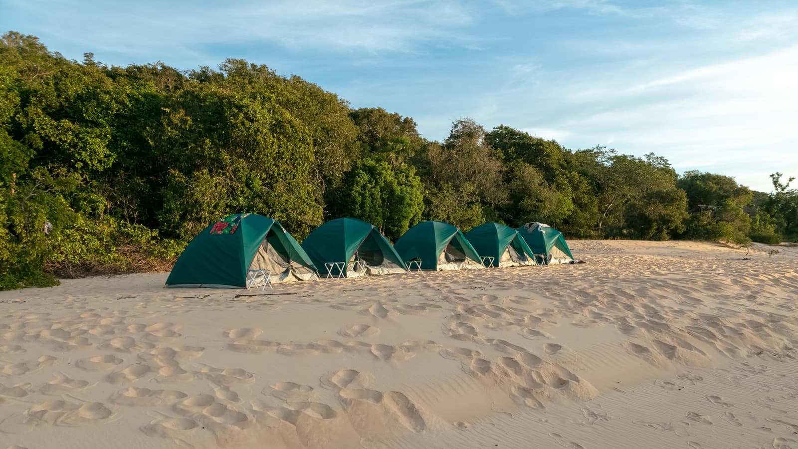 Tonight, the dunes are your bedroom floor and the cerrado your curtain. Photo: Alberto Andrich Five green dome tents pitched in a row on white sand at the edge of dense cerrado forest during a Jalapão trekking expedition, with small folding stools in front of each tent under a blue sky