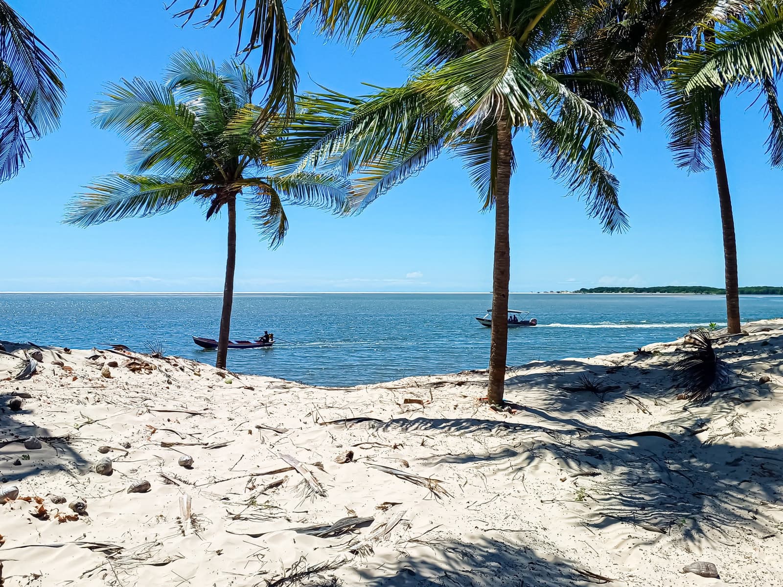 Life moves at boat speed here, and honestly that suits everyone just fine. Tall coconut palms cast sharp shadows over a white sand shore along the Preguiças River, with two small speedboats crossing the calm blue water under a cloudless sky — part of the Lençóis Maranhenses full itinerary