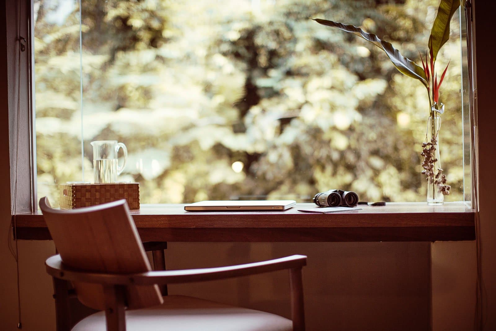 Binoculars ready, forest right there. All the office you need. Photo: | SamuelMelim Photography Wooden desk with binoculars, a closed laptop, and a tropical flower stem in a vase beside a large window overlooking green forest canopy, at a birdwatching lodge in the Amazon rainforest