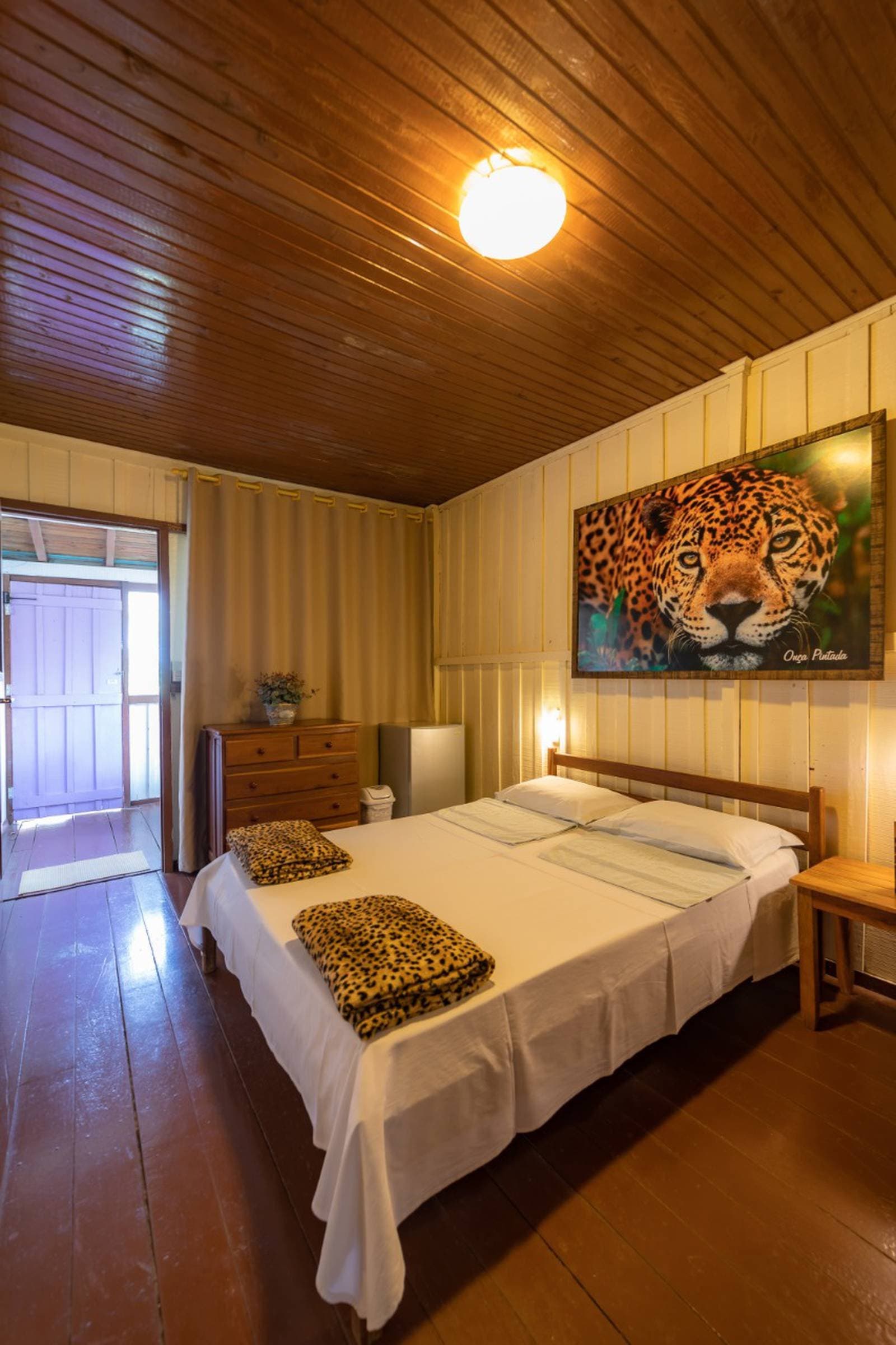 Even the room knows what's out there in the wild. Double bedroom at a pantanal budget lodge with wooden ceiling, polished timber floors, leopard-print blankets folded on the bed, and a large jaguar portrait hanging above the headboard