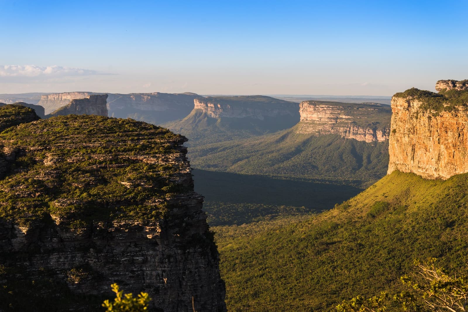 Millions of years of geology, all laid out at once. Wide panoramic view of the Chapada Diamantina Tour landscape, with layered sandstone mesas rising above a forested valley under a clear blue sky