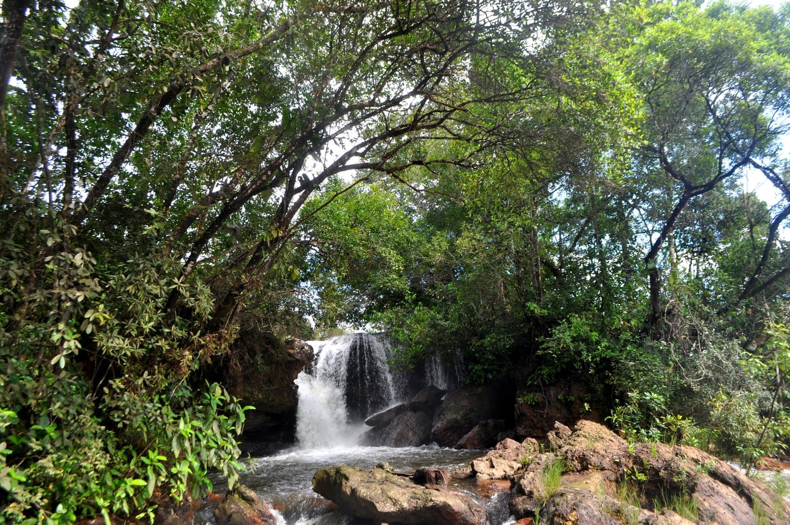 You earn this one with your boots, not your car keys. Photo: Picasa A waterfall cascades over dark rocks into a rocky pool, framed by dense cerrado trees on a Jalapão trekking route