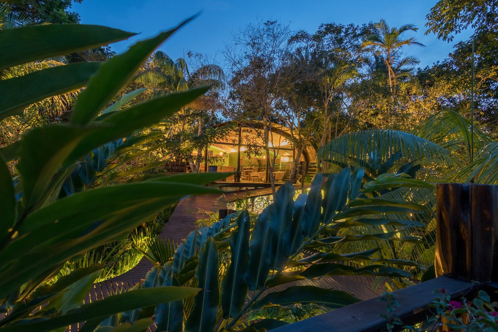 The jungle doesn't disappear at night, it just gets a better atmosphere. A glowing open-air pavilion at Mirante do Gavião amazon lodge seen through lush tropical foliage along a timber boardwalk at twilight