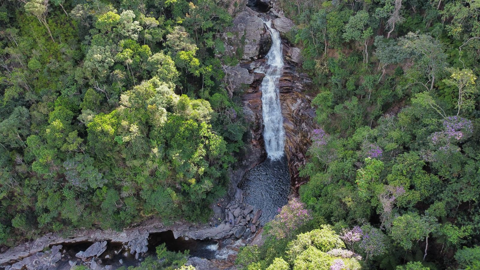 Thirty metres of waterfall, one very cold pool, and a picnic waiting on the rocks. Aerial view of a tall waterfall cascading down a layered rock face into a dark pool, surrounded by dense forest with purple-flowering trees on a Chapada Diamantina trek
