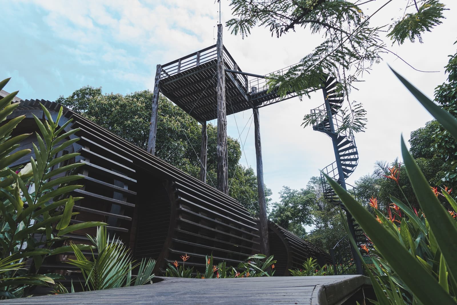 Climb up, and the forest gives you a completely different conversation. A tall wooden observation tower with a spiral metal staircase rises above tropical vegetation at Mirante do Gavião, viewed from ground level among heliconia and palm plants