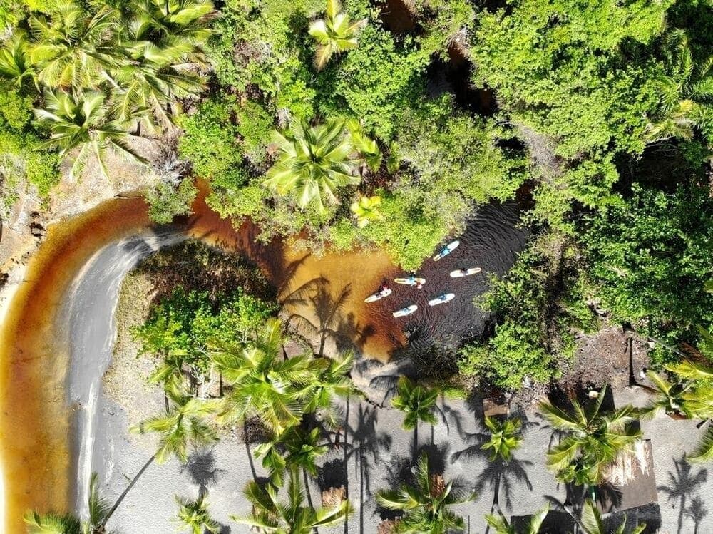 The river, the palms, the sand, Itacaré keeps revealing new angles. Aerial view of four paddlers on stand-up boards where a tannin-dark river meets a white-sand beach lined with coconut palms near Itacaré, a perfect contrast of forest, freshwater and coast for anyone taking surf lessons in Itacaré
