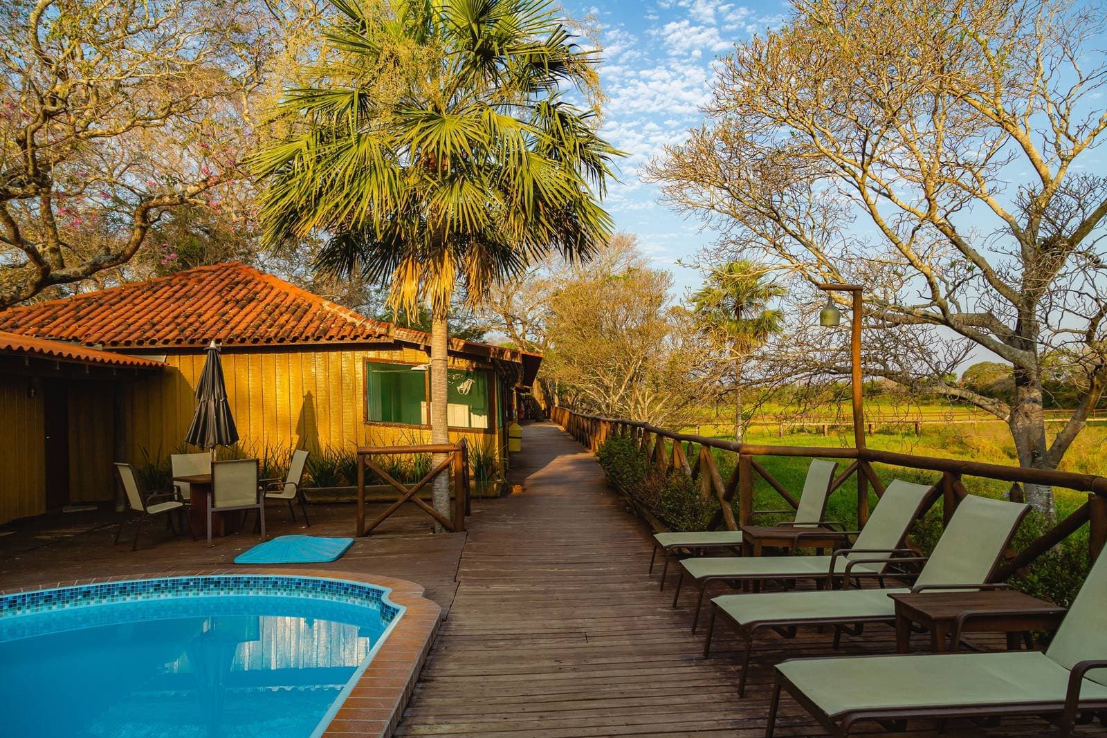 Cold drink, warm afternoon, nowhere else to be. Wooden deck with sun loungers beside a small pool at a budget Pantanal tour lodge, with a palm tree, terracotta-roofed cabin, and open wetland fields in the background under a blue sky