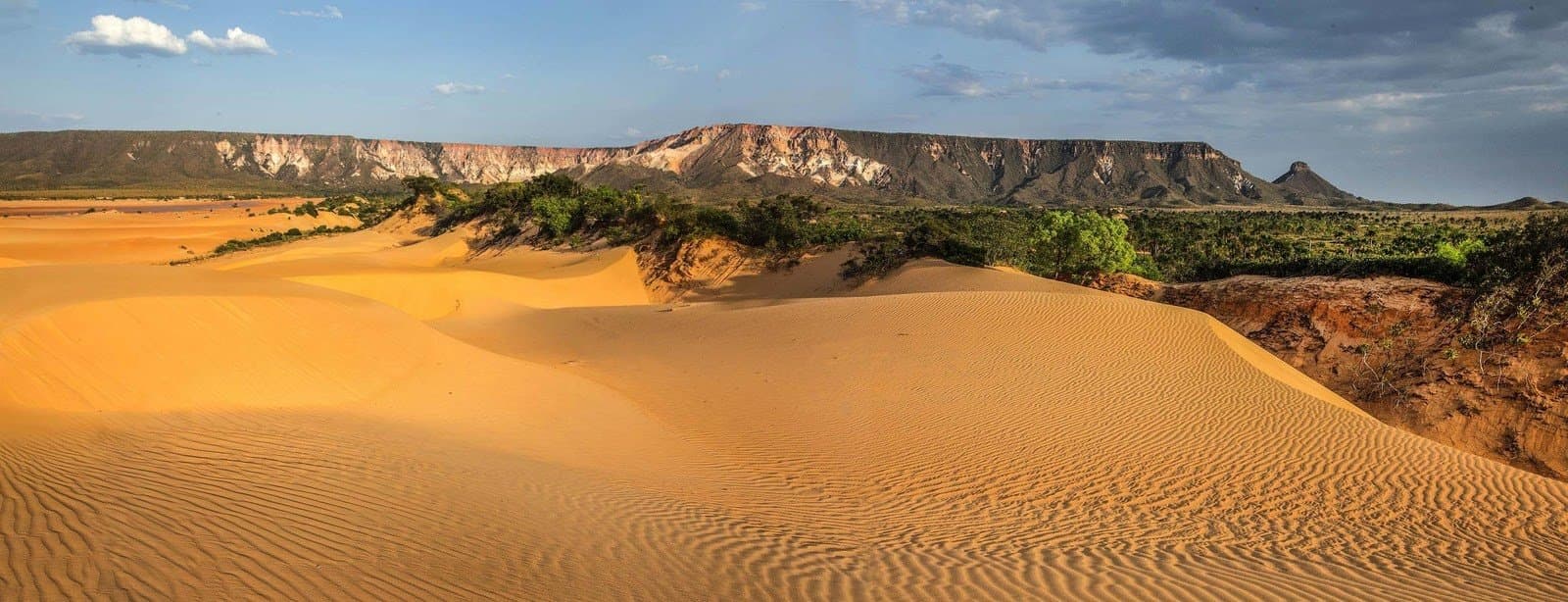 Sculpted by wind, the dunes burn gold as the mesa watches over. Rippled golden sand dunes stretching toward a green tree line and a flat-topped sandstone mesa under a partly cloudy sky, a signature landscape of this 4-day Jalapão tour