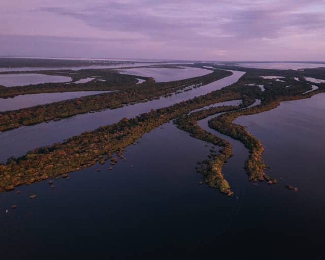 Anavilhanas National Park, the archipelago of the Amazon in Brazil Anavilhanas National Park, the archipelago of the Amazon in Brazil