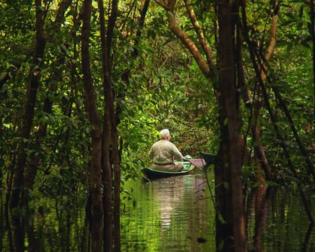 10 Amazon Rainforest Travel Tips to Make the Most of your Adventure 10 Amazon Rainforest Travel Tips to Make the Most of your Adventure
