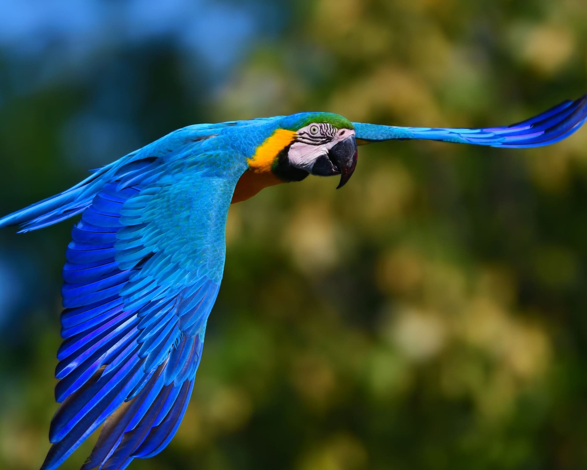 How Many Days Should You Spend in the Amazon? How Many Days Should You Spend in the Amazon?
