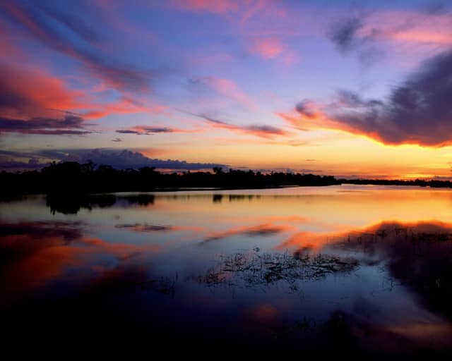 Jaú National Park: In the heart of the Amazon, Brazil Jaú National Park: In the heart of the Amazon, Brazil