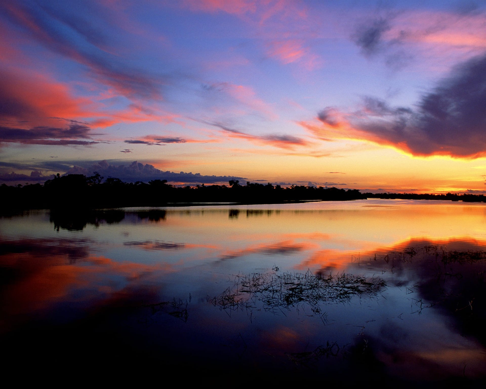 Jaú National Park: In the heart of the Amazon, Brazil Jaú National Park: In the heart of the Amazon, Brazil