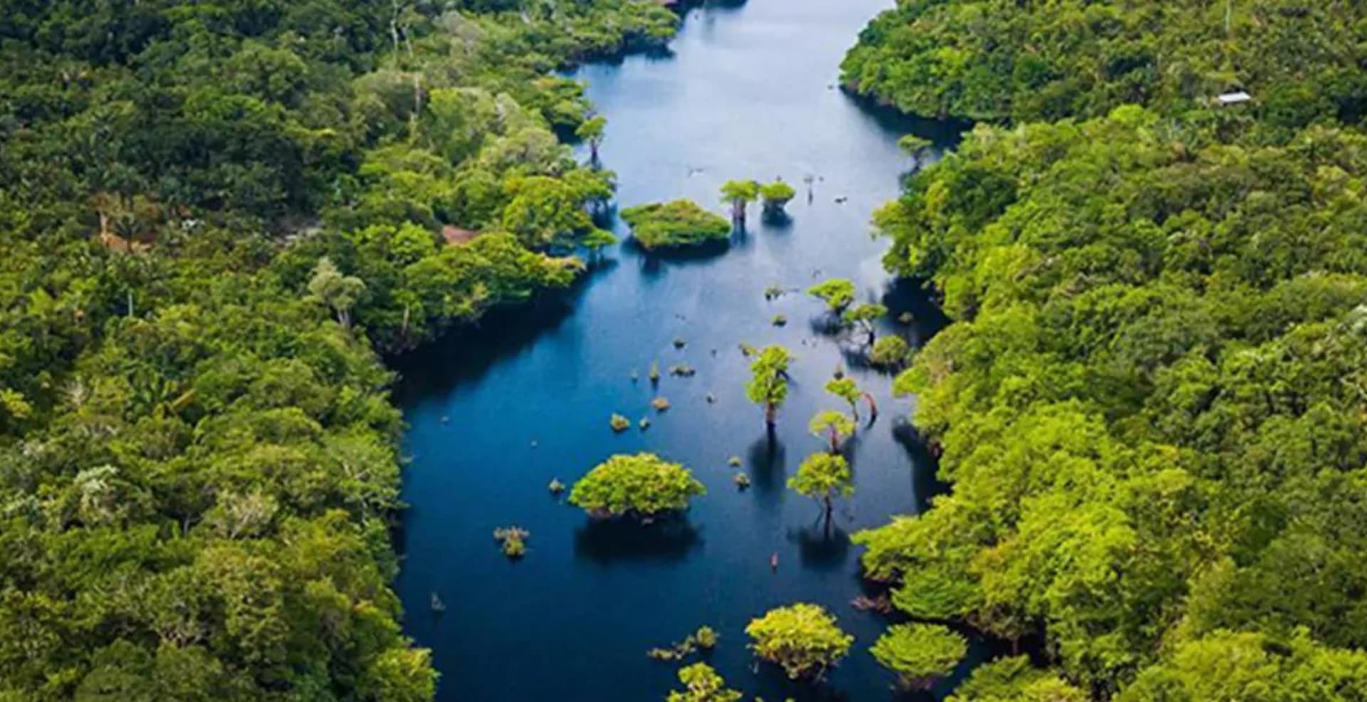 3-day Amazon Jungle Adventure in Brazil 3-day Amazon Jungle Adventure in Brazil