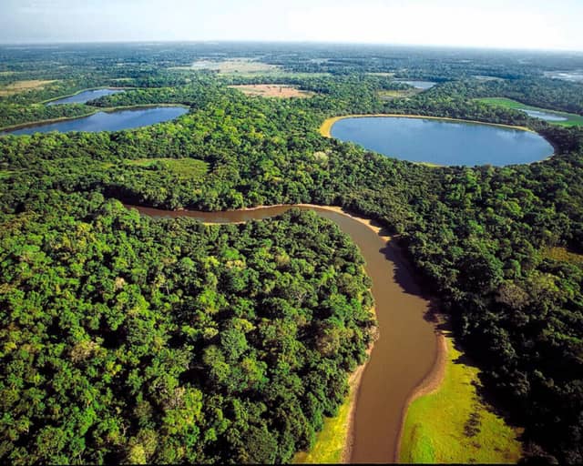 When is the Best Time to Visit the Pantanal? When is the Best Time to Visit the Pantanal?