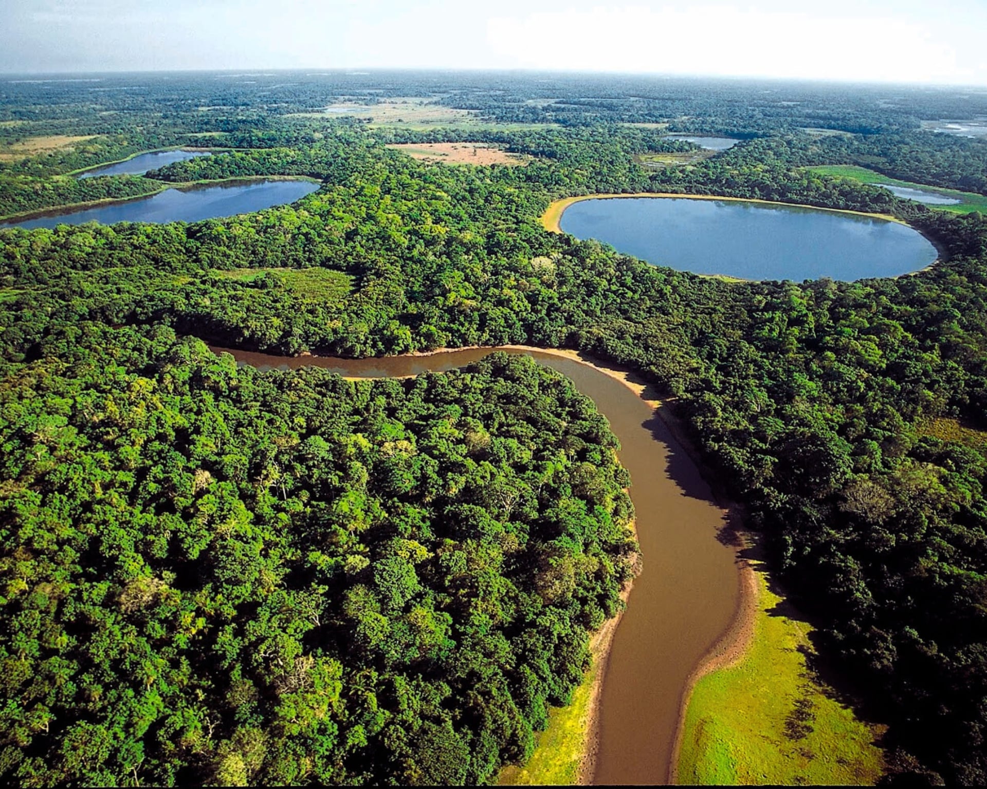 When is the Best Time to Visit the Pantanal? When is the Best Time to Visit the Pantanal?