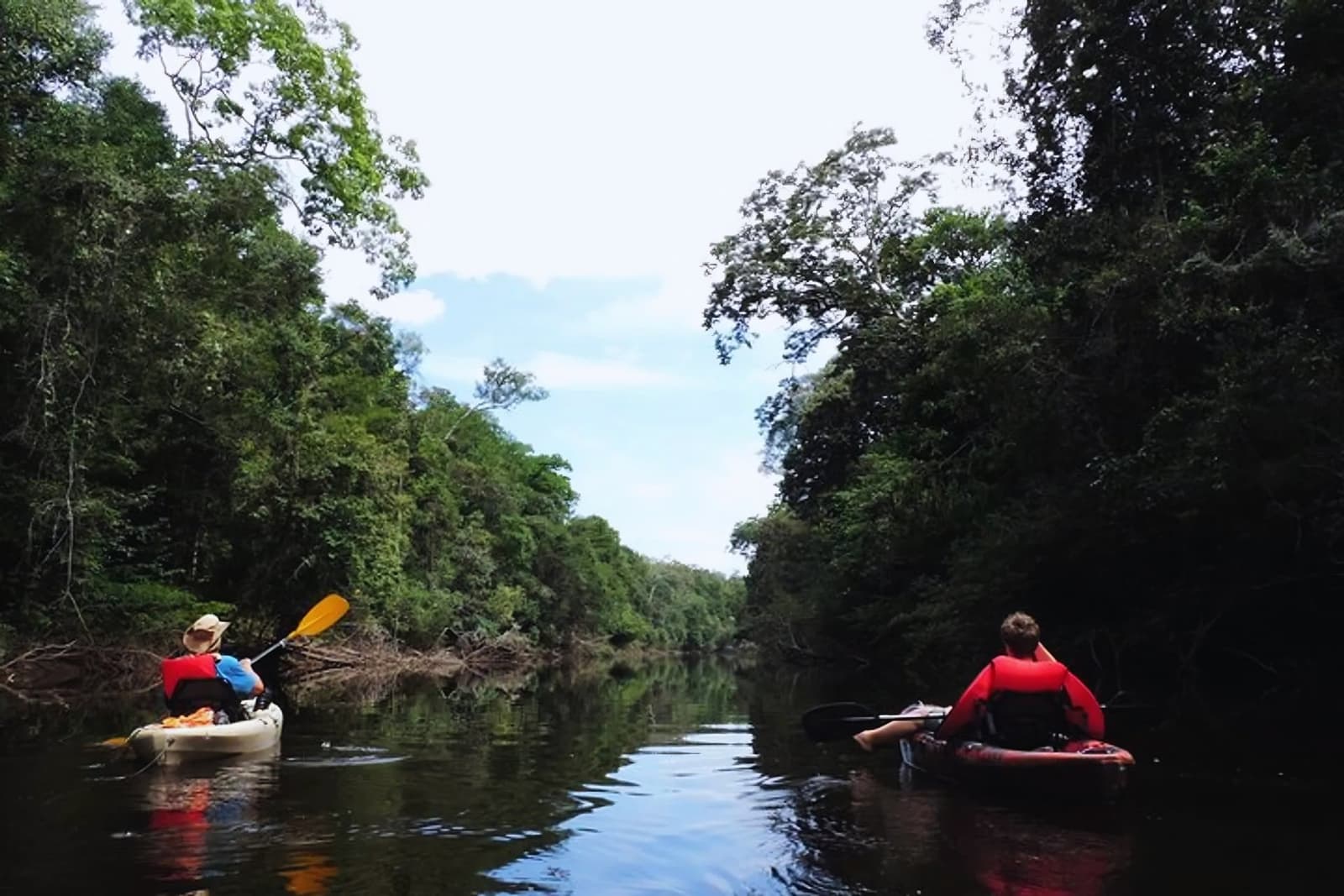The river has its own pace, and out here, you learn to match it. Two kayakers in red life jackets paddle side by side along a narrow, dark-watered river channel on an Amazon kayak tour in Brazil, with dense rainforest canopy rising on both banks