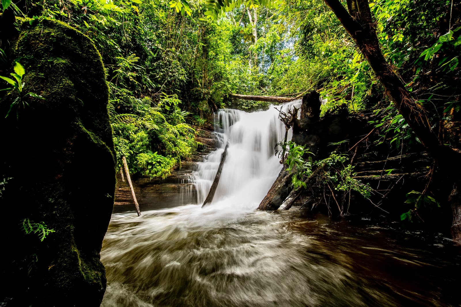 The forest keeps its own soundtrack, and this is the loud part. A silky multi-tiered waterfall cascades over mossy rocks into a churning forest pool, surrounded by dense tropical rainforest canopy on an Amazon kayak tour in Brazil